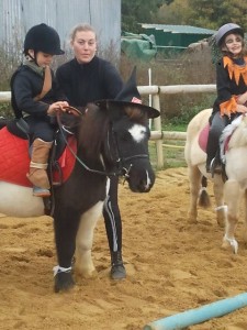 Baby poney